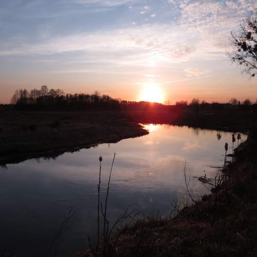 Photo #6726122