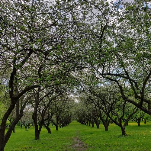 Photo #6726213