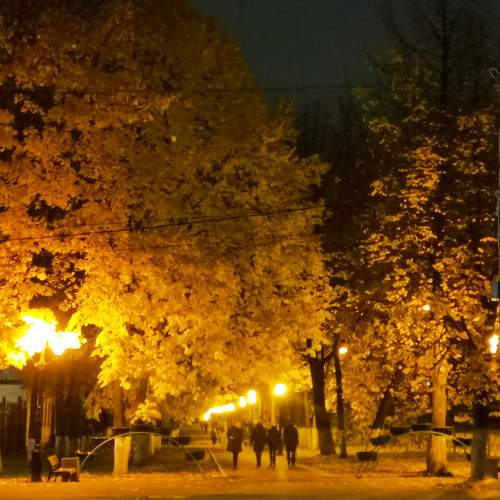 Photo #6726845