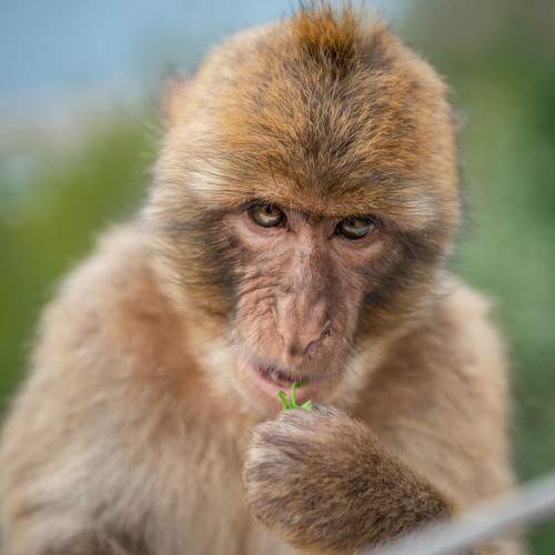 Photo #6726893