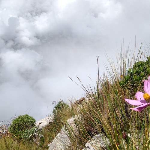 Photo #6727597