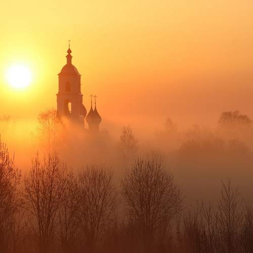 Photo #6727799