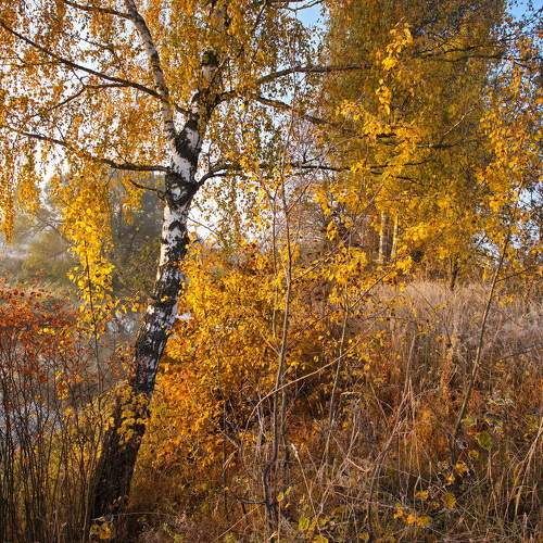 Photo #6727913