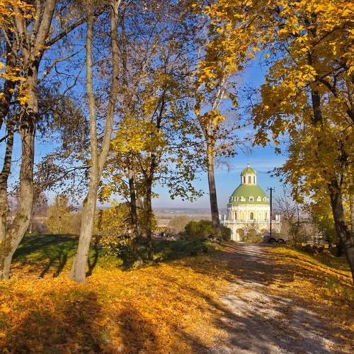 Photo #6727914