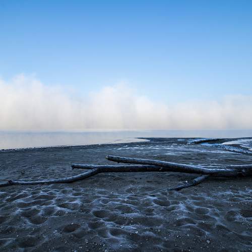 Photo #6728105