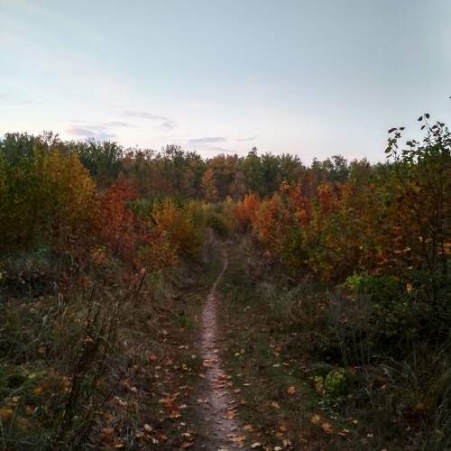 Photo #6728387