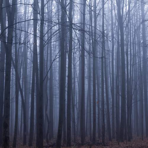 Photo #6728549