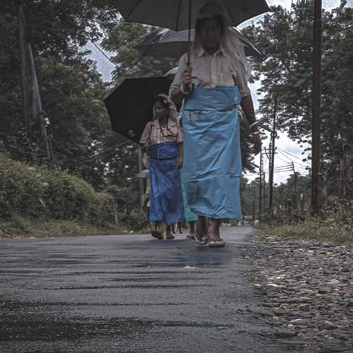 Photo #6728967