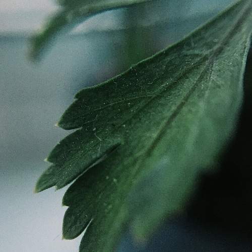 Photo #6729072