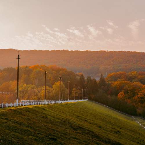 Photo #6730245