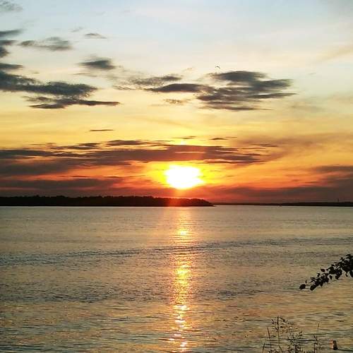 Photo #6730623