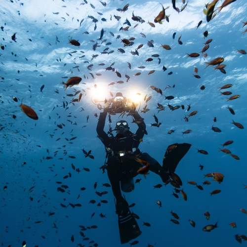 Photo #6730825