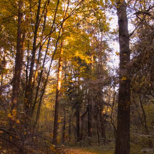 Photo #6730929