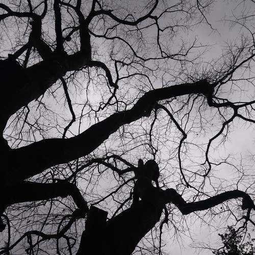 Photo #6731021