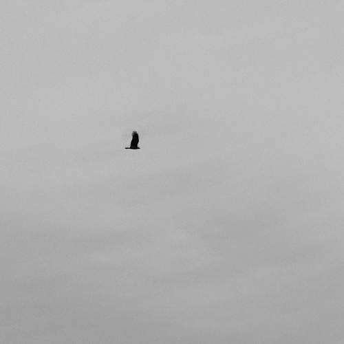 Photo #6731105