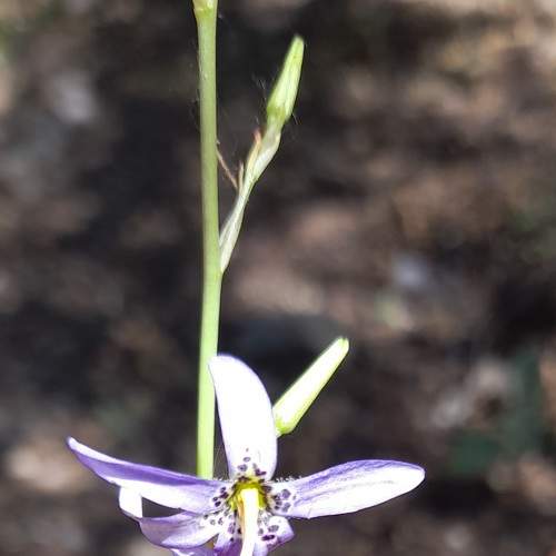 Photo #6731107