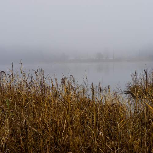 Photo #6731170