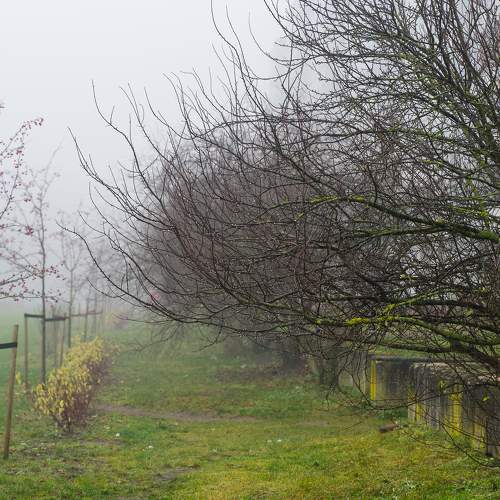 Photo #6731171