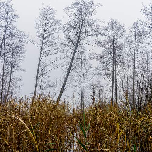 Photo #6731172