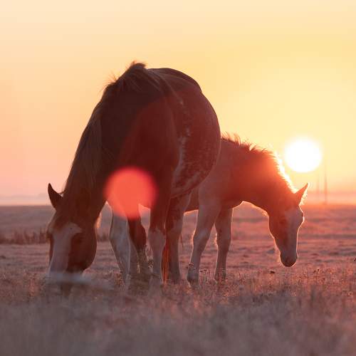 Фотография #6731314