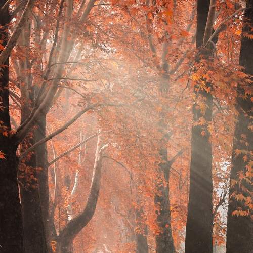 Autumn season