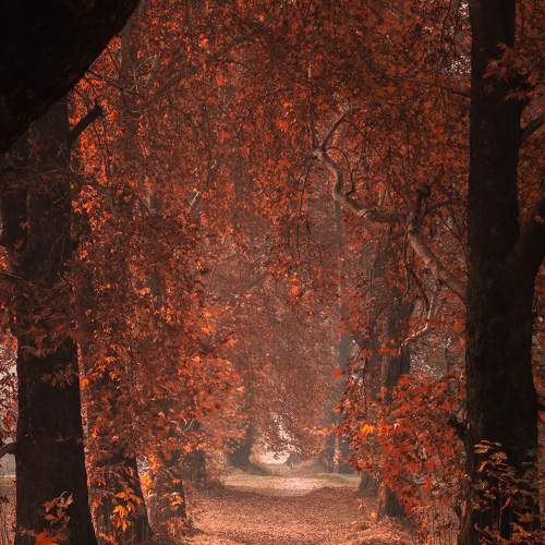 Photo #6731424