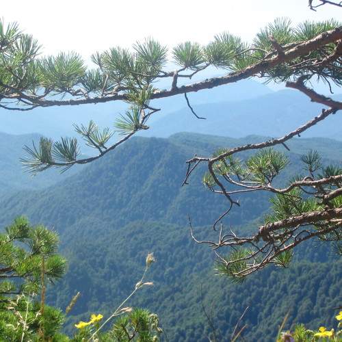 Photo #6731526