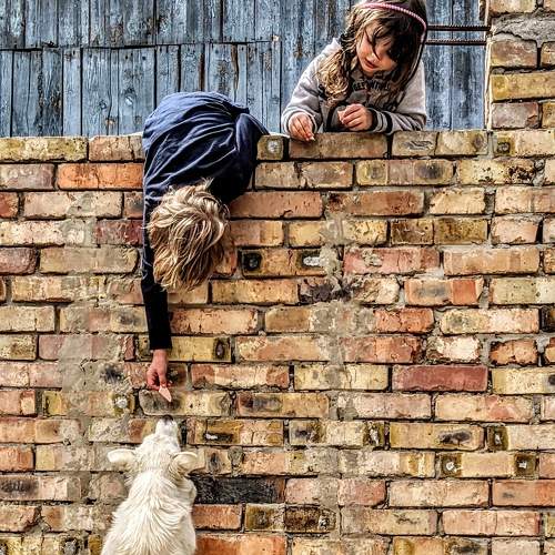 Photo #6731684
