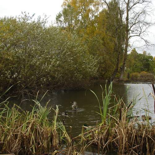 Photo #6731964