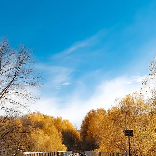 Photo #6732094