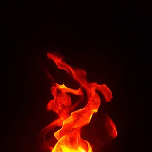 Photo #6732212