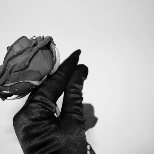 Photo #6732900
