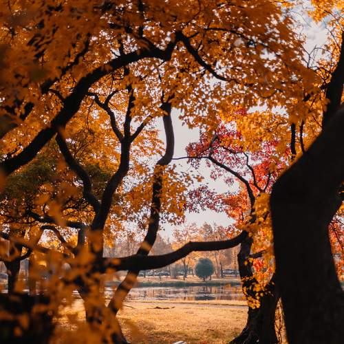 Photo #6732923