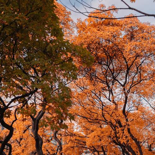 Photo #6732924