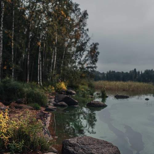 Photo #6733000
