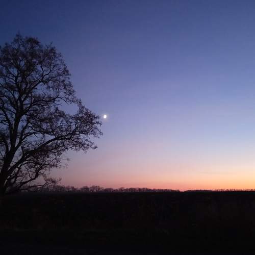 Photo #6733142