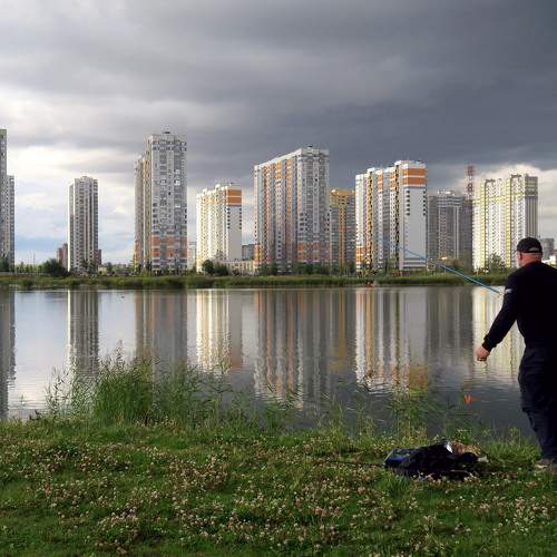 Photo #6733152