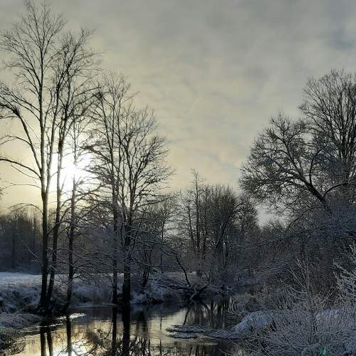 Photo #6733301