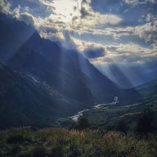 Photo #6733644