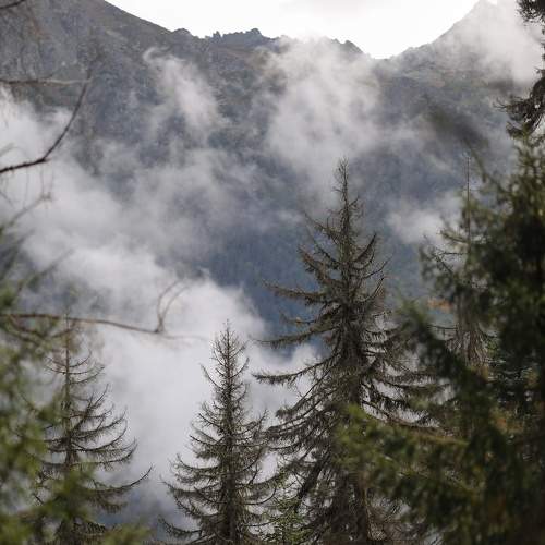 Photo #6733646