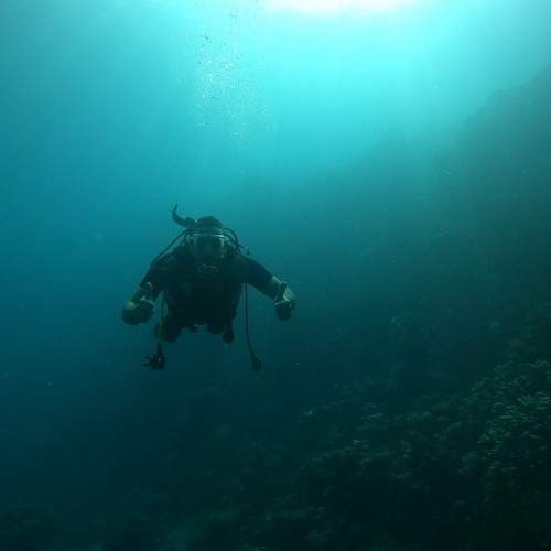 Photo #6734144