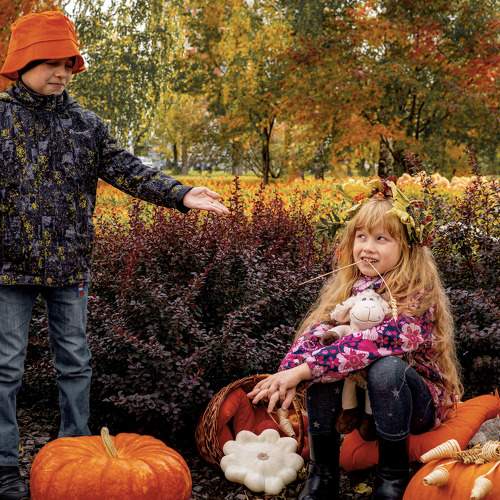 Photo #6734173