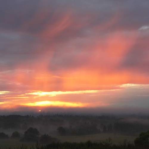 Photo #6734349
