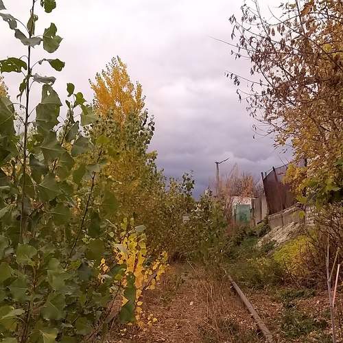 Photo #6734439