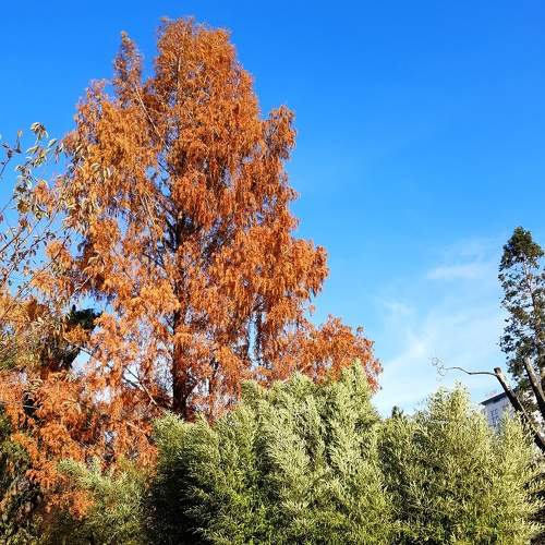 Photo #6734769
