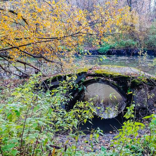Photo #6734776