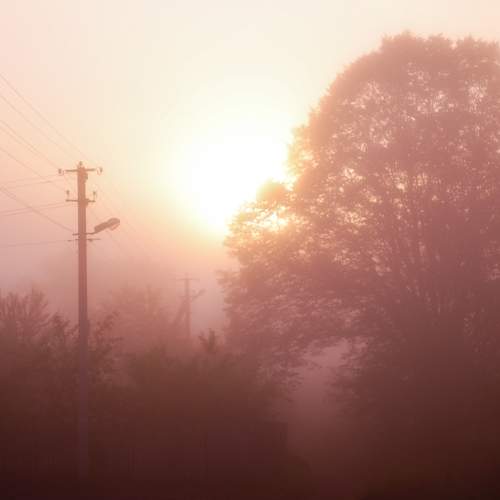 Photo #6734865
