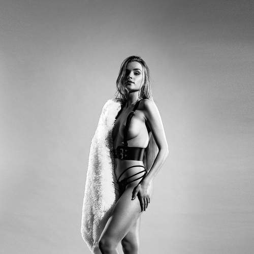 Photo #6734888