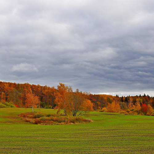 Photo #6734891