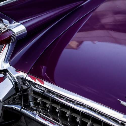Photo #6734915